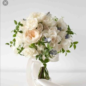 Meet your Posher, Aimee